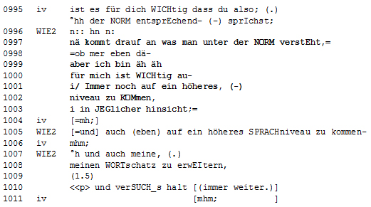 15+ Interviewleitfaden Beispiel Fragen PNG